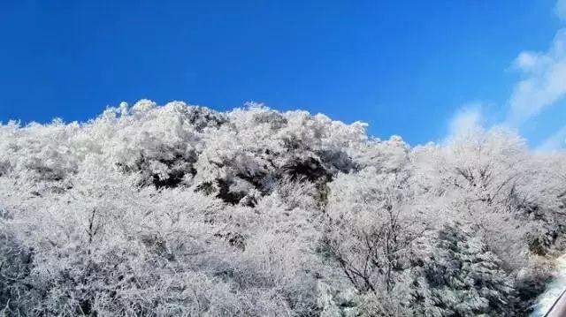 什么叫相信自己,是不是相信别人也就等于相信自己,任何人都能相信吗?-专业问答网站,快速解决您的问题