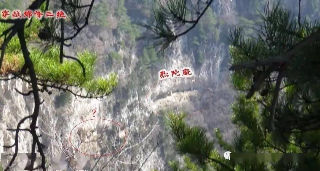 探寻真相,天涯问答交流平台改名有没有用?如何正确改名?改名了以后就当上了总经理!